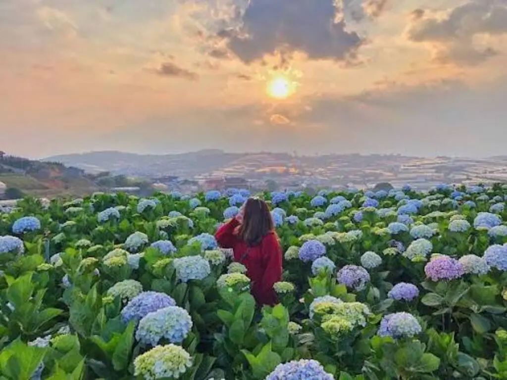 Tour Nha Trang - Đà Lạt 2 Ngày 1 Đêm