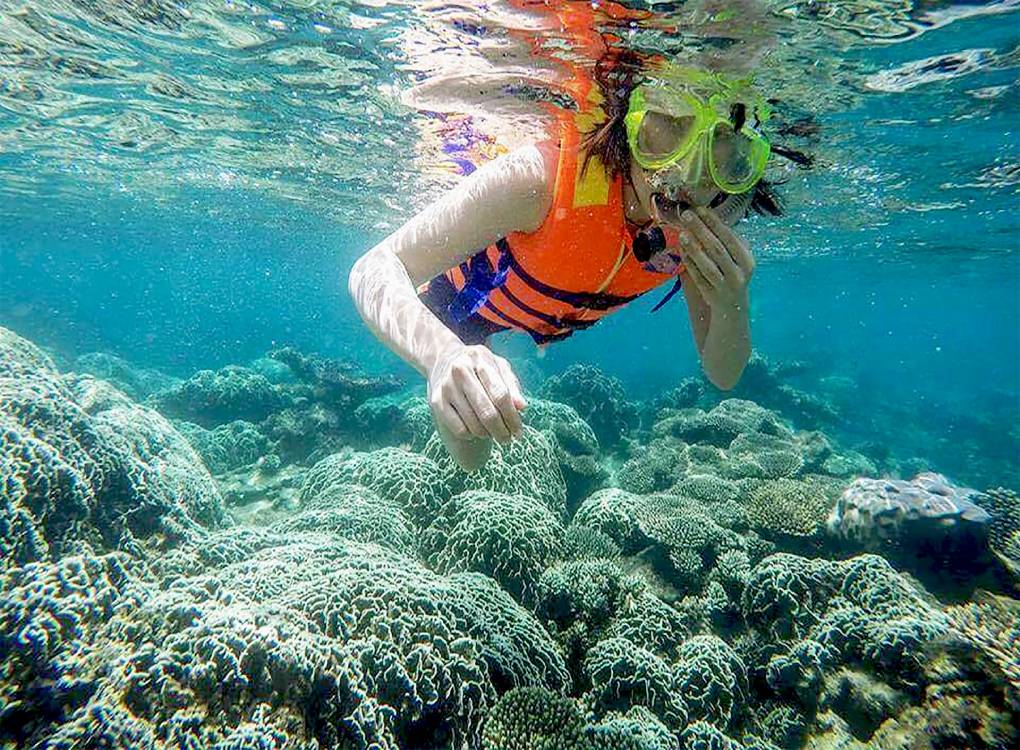 Tour 2 đảo Quy Nhơn 1 ngày: Kỳ Co - Hòn Khô - Lặn ngắm san hô