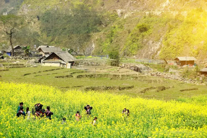 Tour Sapa 2 Ngày 1 Đêm (Cát Cát - Hàm Rồng - Fansipan)