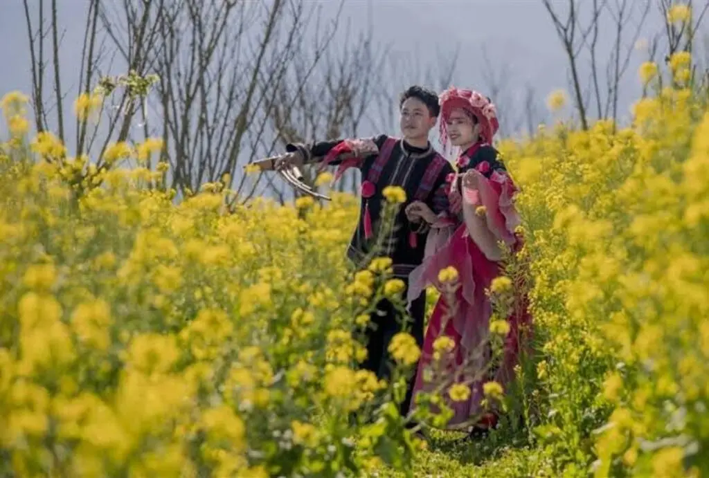 Tour Sapa 2 Ngày 1 Đêm (Cát Cát - Hàm Rồng - Fansipan)