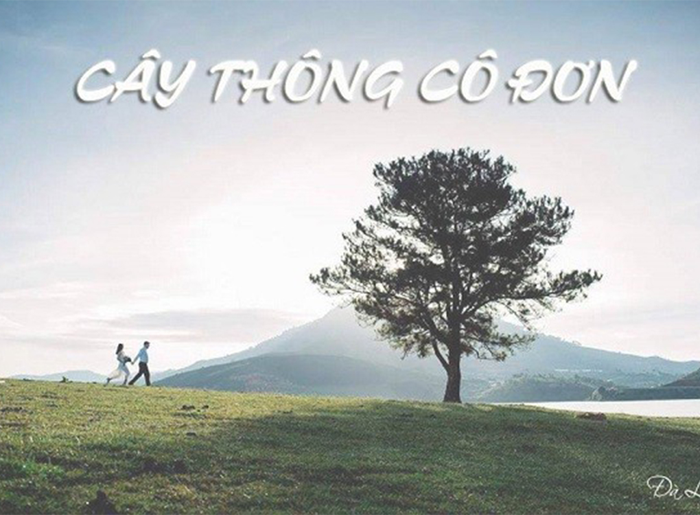 Tour Nha Trang - Đà Lạt 5 Ngày 4 Đêm (Full Lịch Trình)