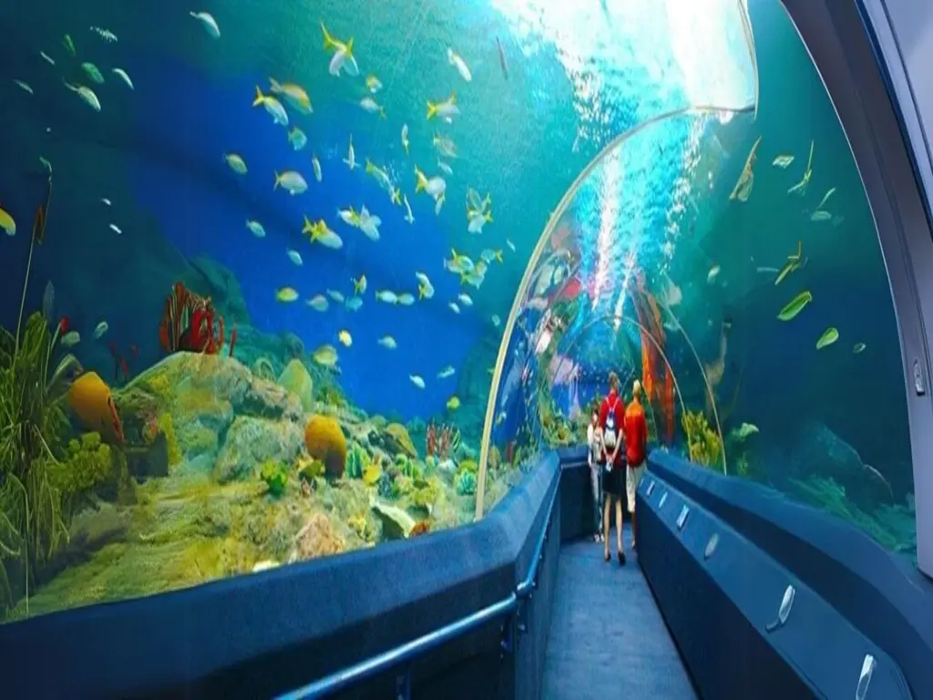 Tour Tham Quan Thành Phố Nha Trang 1 Ngày