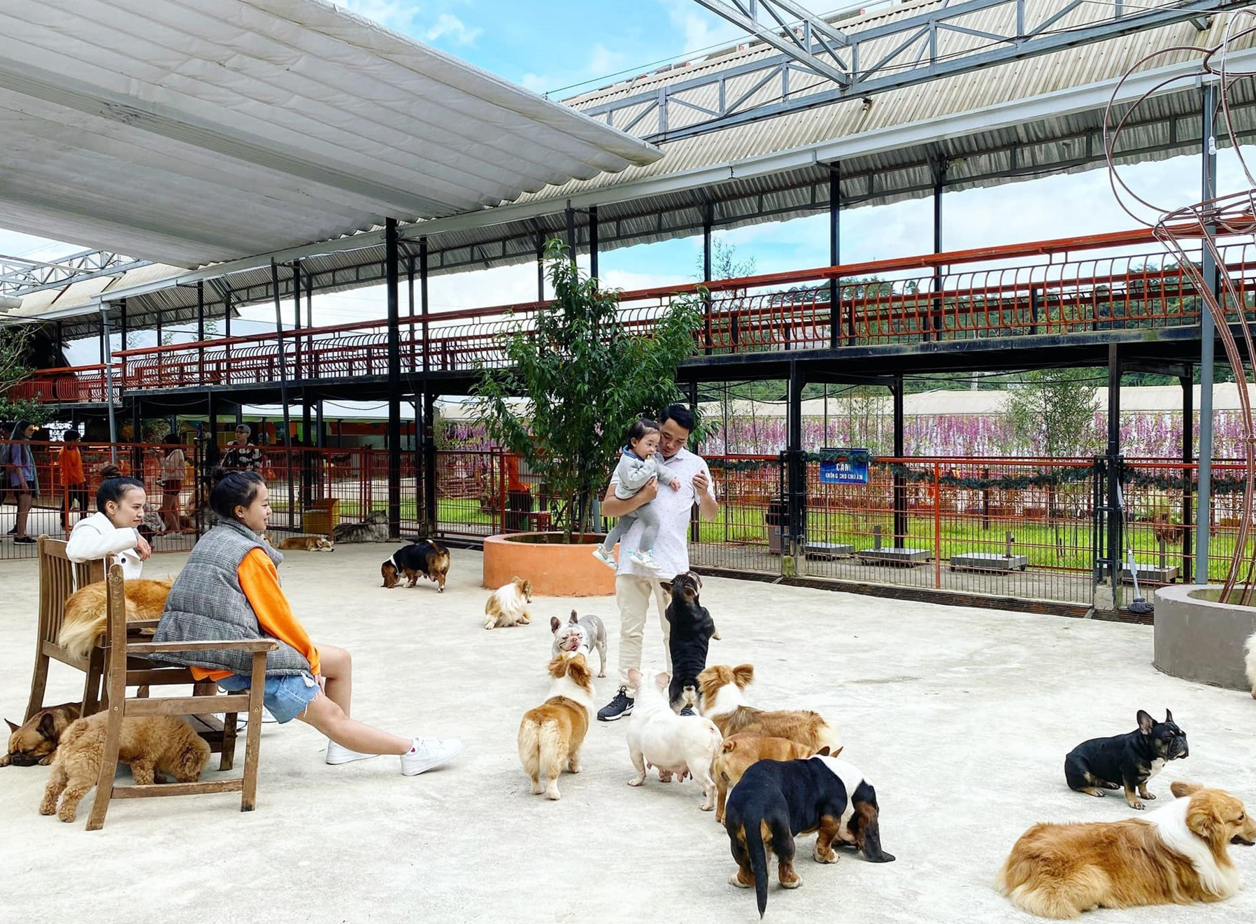 Tour Đà Lạt - Thành Phố Ngàn Hoa 3 Ngày 2 Đêm (Đón Trưa Tiễn Tiễn) (Ăn 5 bữa)