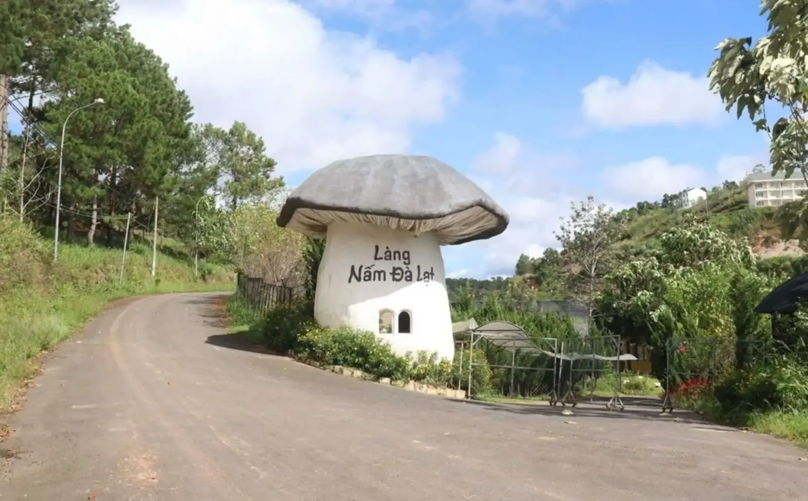 Tour Khám Phá Thác Pongour Hùng Vĩ 1 ngày