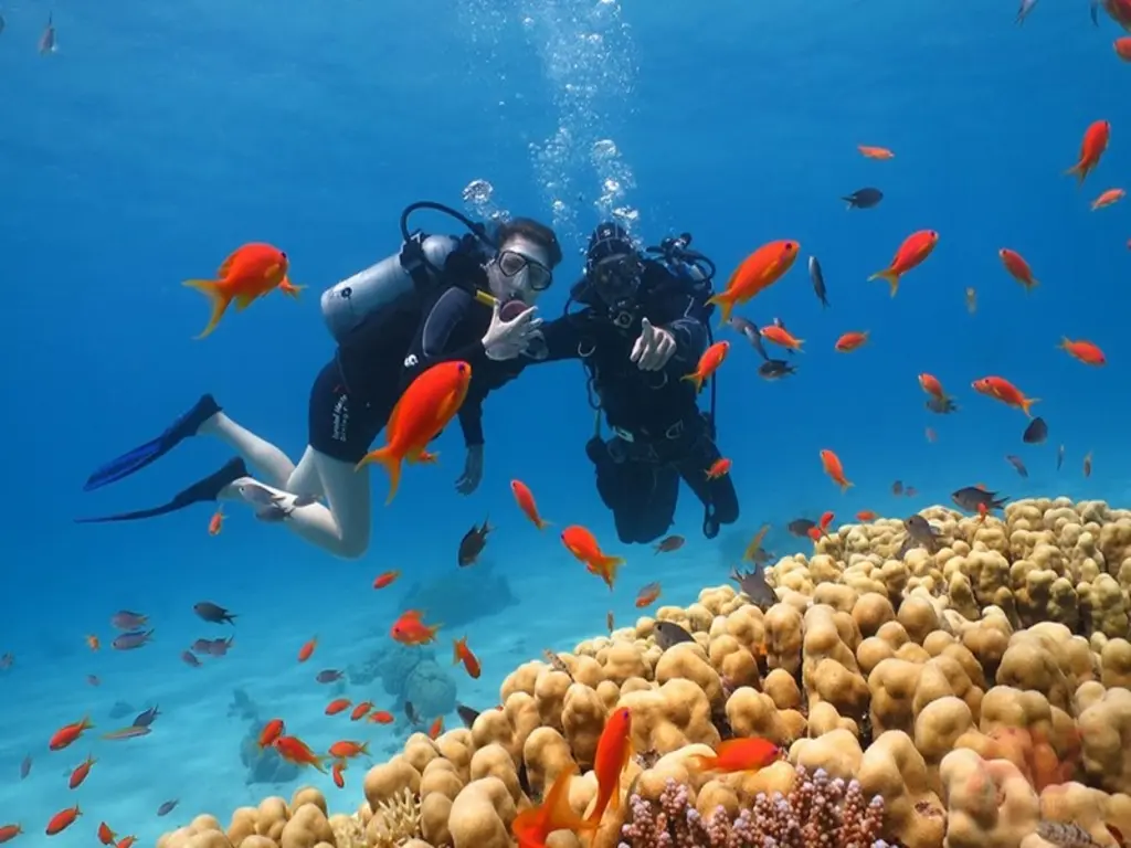 Tour Du ngoạn Đảo - Hòn Mun - Hòn Tằm - Làng Chài