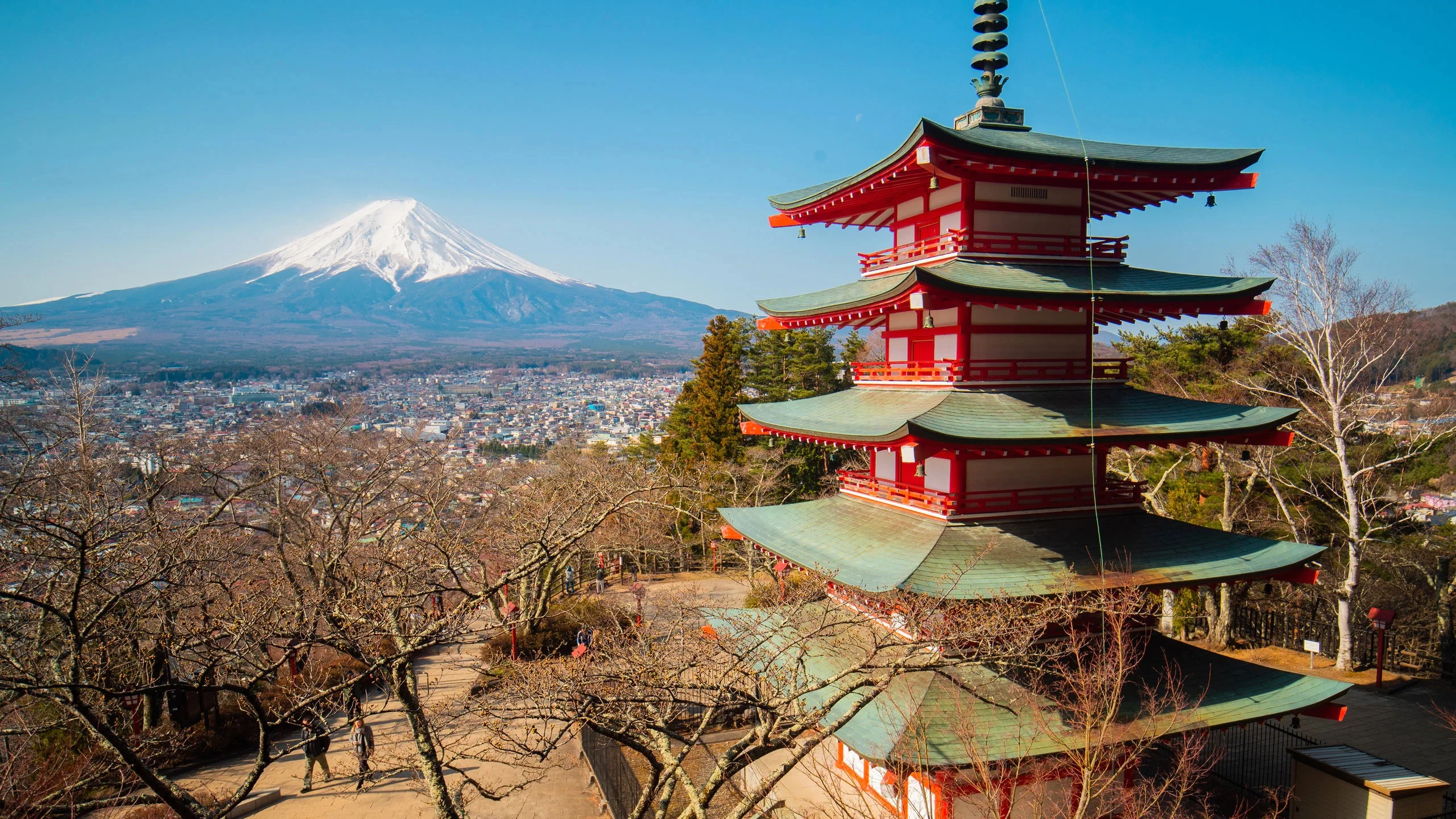 Tour Nhật Bản: Hà Nội - Tokyo - Ngắm Hoa Tử Đằng - Phú Sĩ - Nagoya - Kyoto - Osaka - Itami